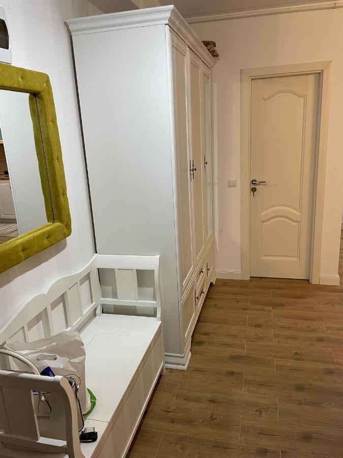 Apartament Gabriela 39 Baia Mare Exterior foto
