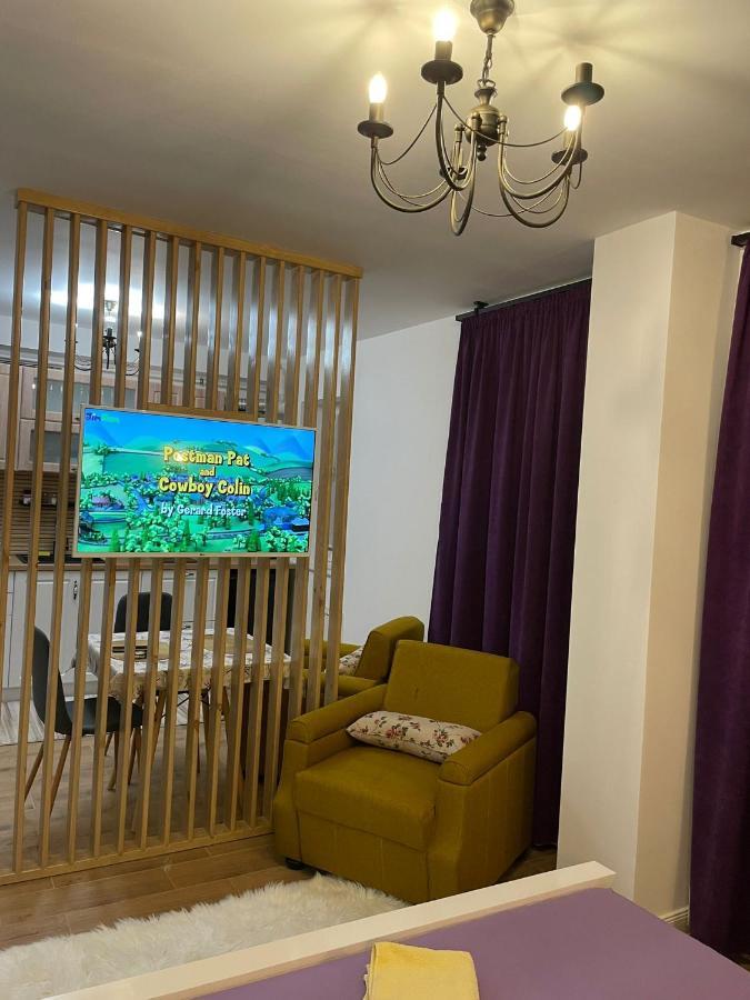 Apartament Gabriela 39 Baia Mare Exterior foto